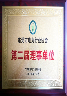 東莞市電力行業協會理事單位