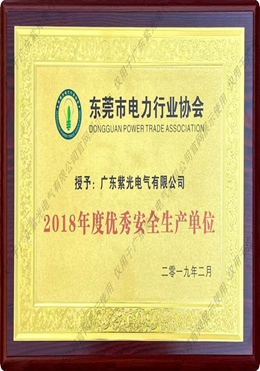 東莞市電力行業協會優秀安全生產單位